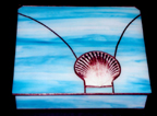 Shell Box